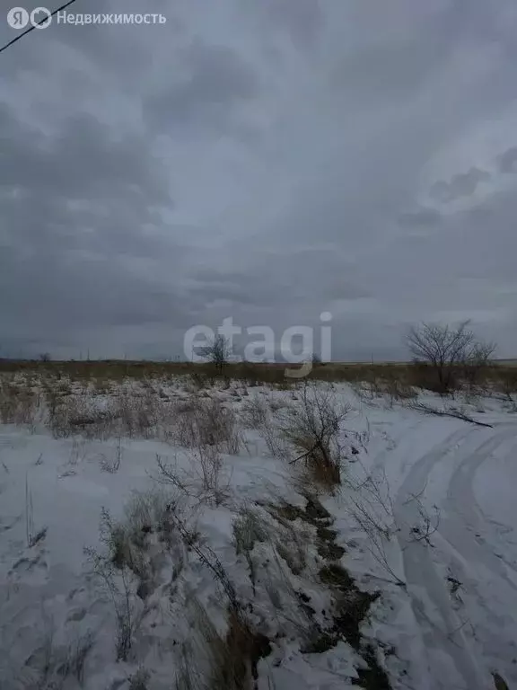 Участок в Алтайский район, село Белый Яр (16.6 м) - Фото 0