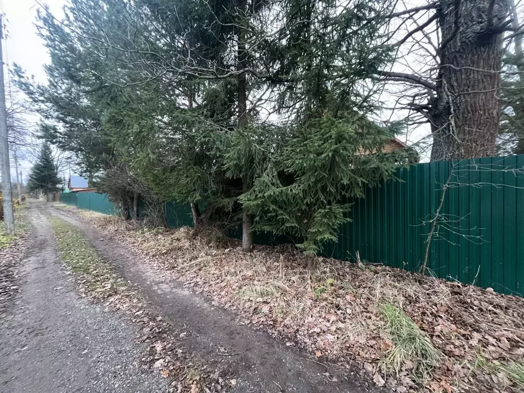 Участок в Московская область, Богородский городской округ, Первомаец ... - Фото 1