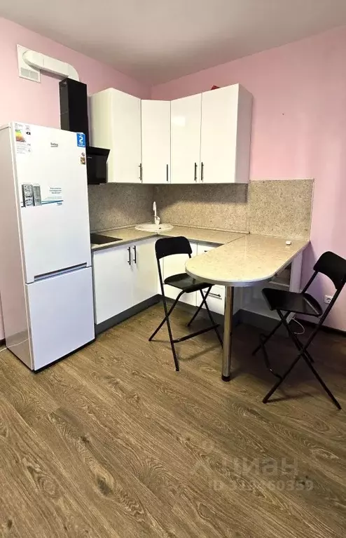 Студия Санкт-Петербург аллея Арцеуловская, 23к1 (24.2 м) - Фото 0