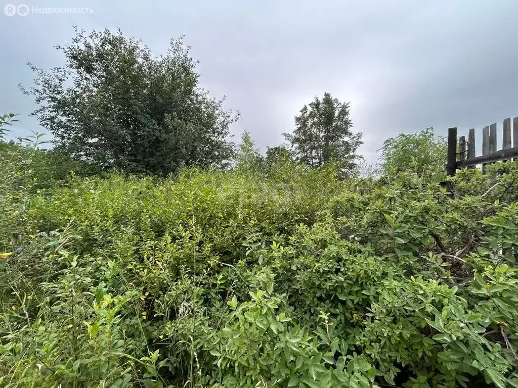 Участок в Южноуральск, СНТ Южное (8 м) - Фото 2