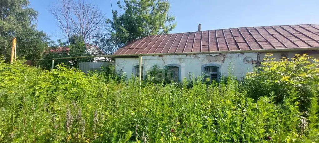 Участок в Воронежская область, Рамонский район, с. Березово ул. ... - Фото 0