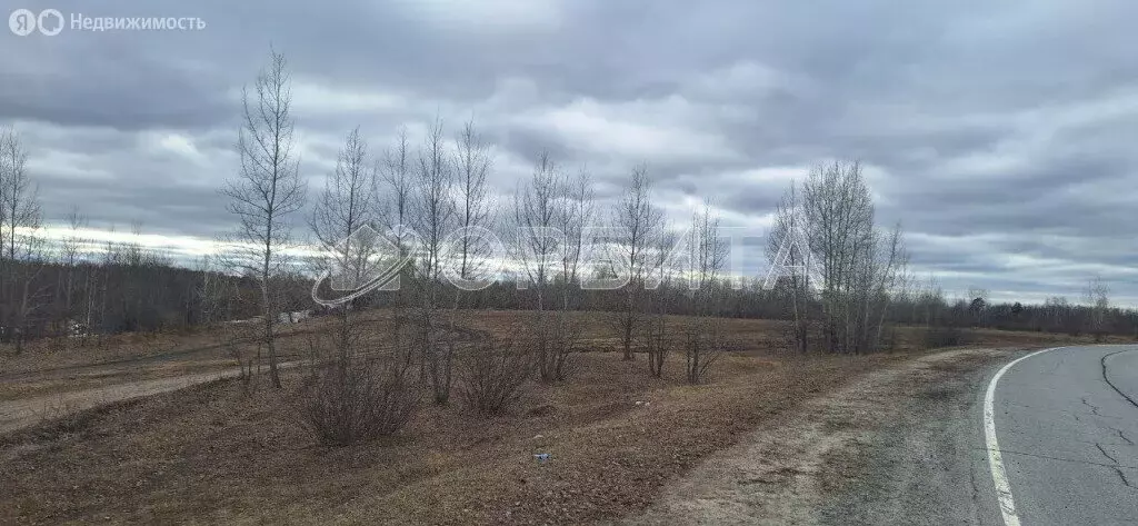 Участок в Тюменский район, село Муллаши (120 м) - Фото 1