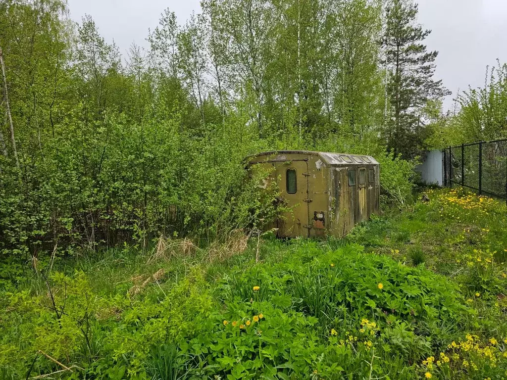 Участок в Ленинградская область, Кингисеппский район, Ивангородское ... - Фото 2