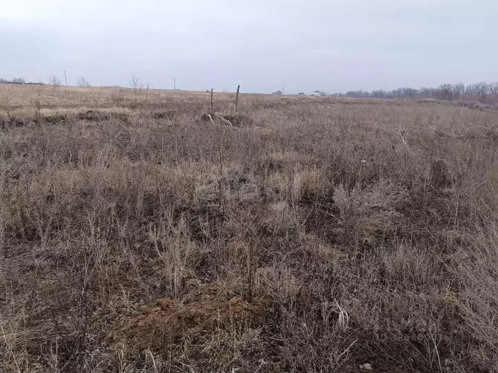 Участок в Курская область, Курский район, Новопоселеновский сельсовет, ... - Фото 1