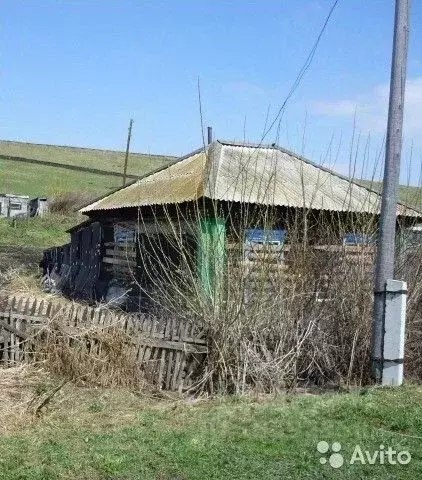 Дом в Алтайский край, Алтайский район, с. Макарьевка Центральная ул. ... - Фото 0