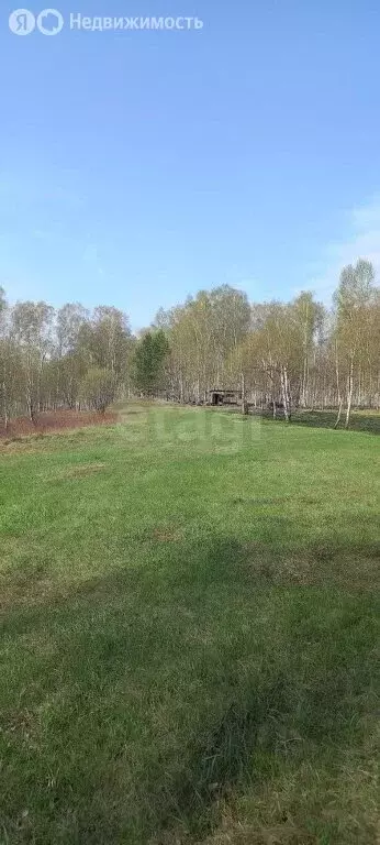 Участок в Первомайский район, село Таловка (54.77 м) - Фото 1