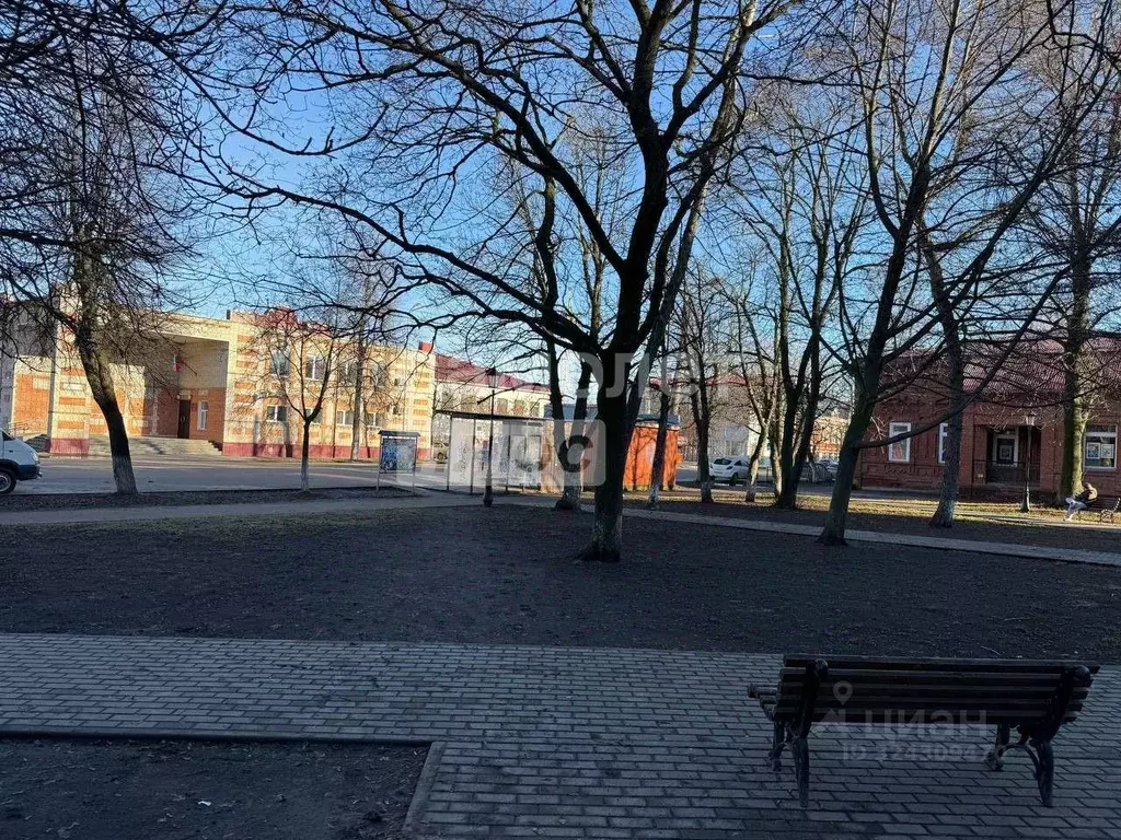 2-к кв. Пензенская область, Кузнецк ул. Ленина, 238 (35.5 м) - Фото 2