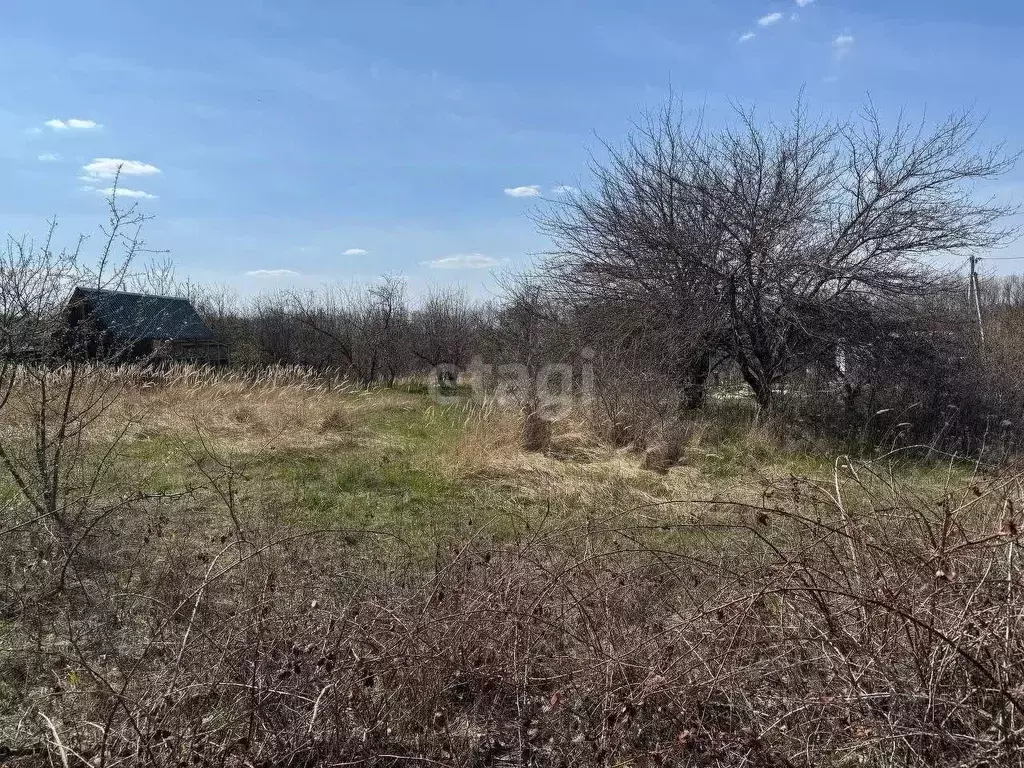 Участок в Белгородская область, Белгородский район, Дубовское с/пос, ... - Фото 1