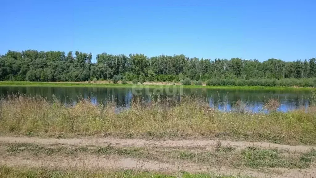 Участок в Башкортостан, Нуримановский район, Красногорский сельсовет, ... - Фото 2