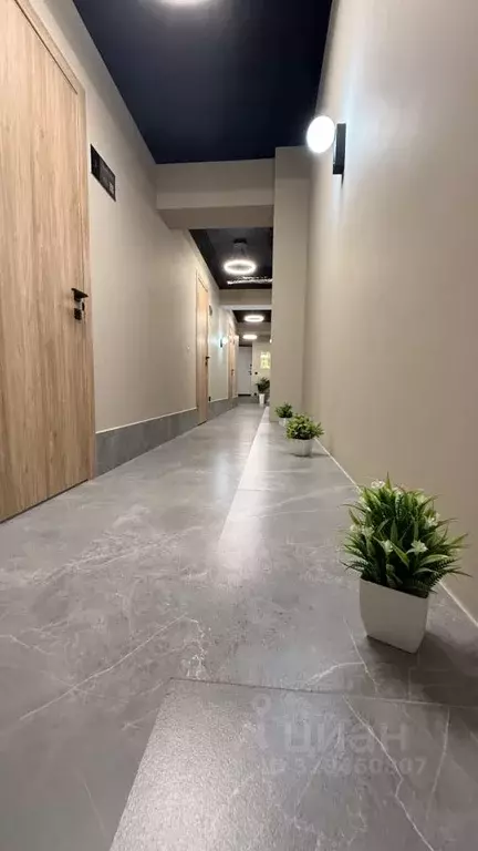 Офис в Чувашия, Чебоксары ул. Ивана Франко, 18 (184 м) - Фото 1