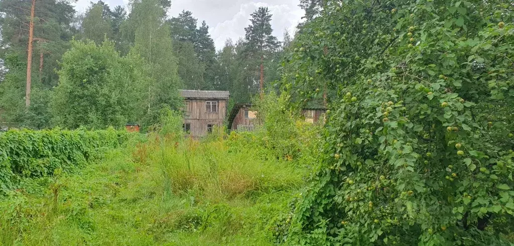 Дом в Ленинградская область, Гатчинский район, Вырица городской ... - Фото 0