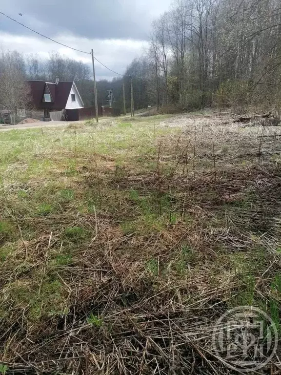 Участок в Ленинградская область, Лужский район, Скребловское с/пос, ... - Фото 2