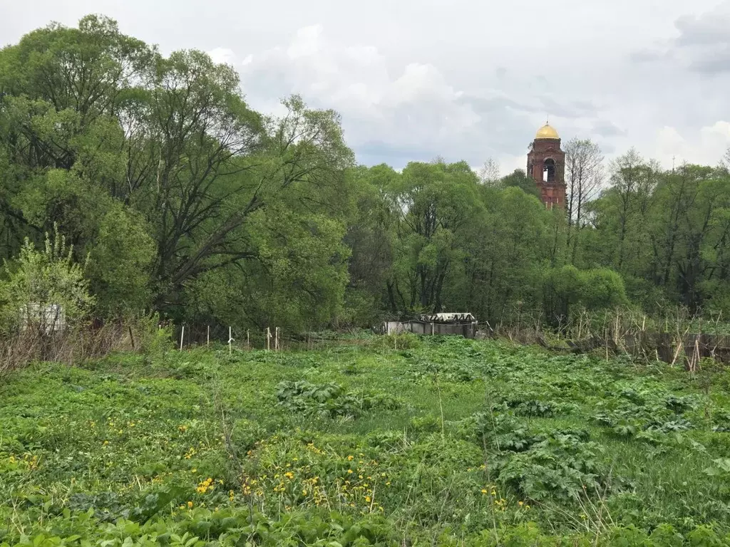 Участок в Московская область, Наро-Фоминский городской округ, д. ... - Фото 1
