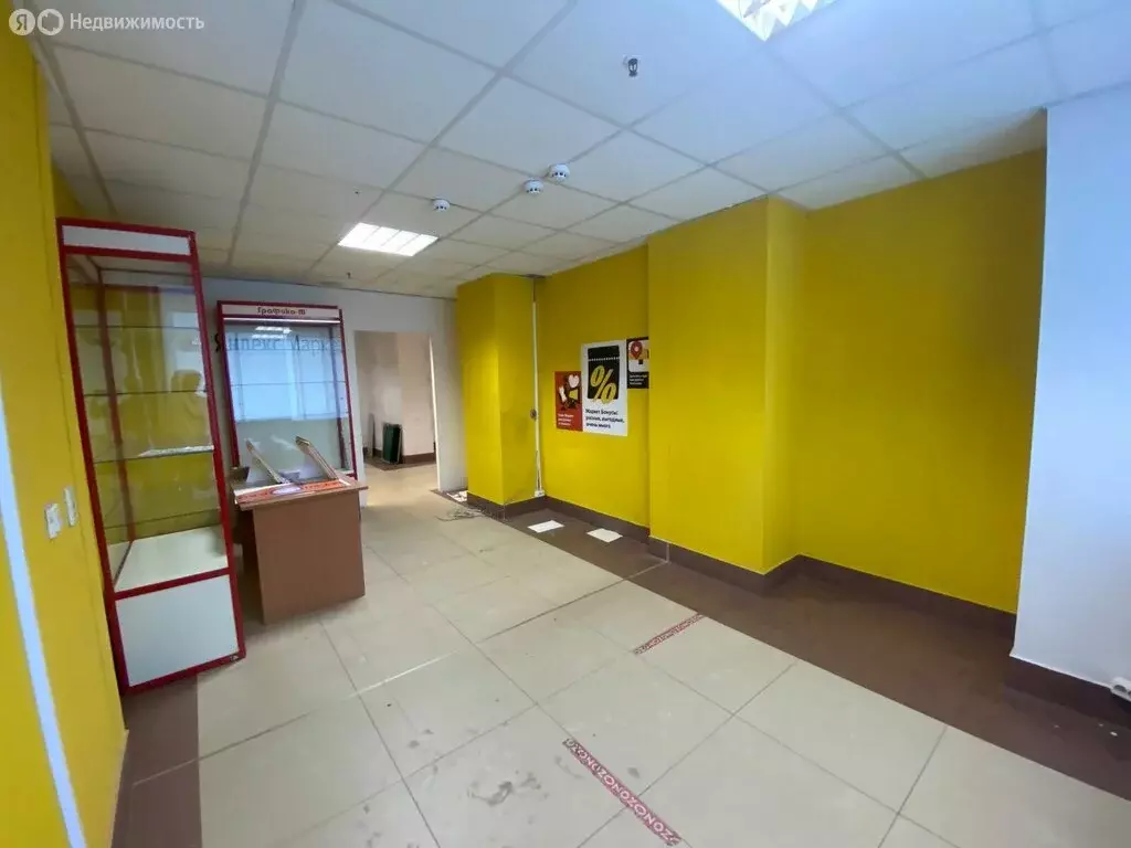 Помещение свободного назначения (49.6 м) - Фото 1