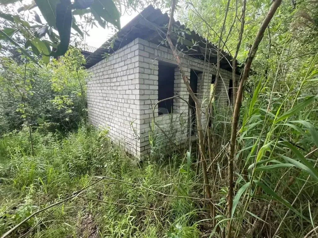 Участок в Владимирская область, Покров Строитель-3Б садовое ... - Фото 1