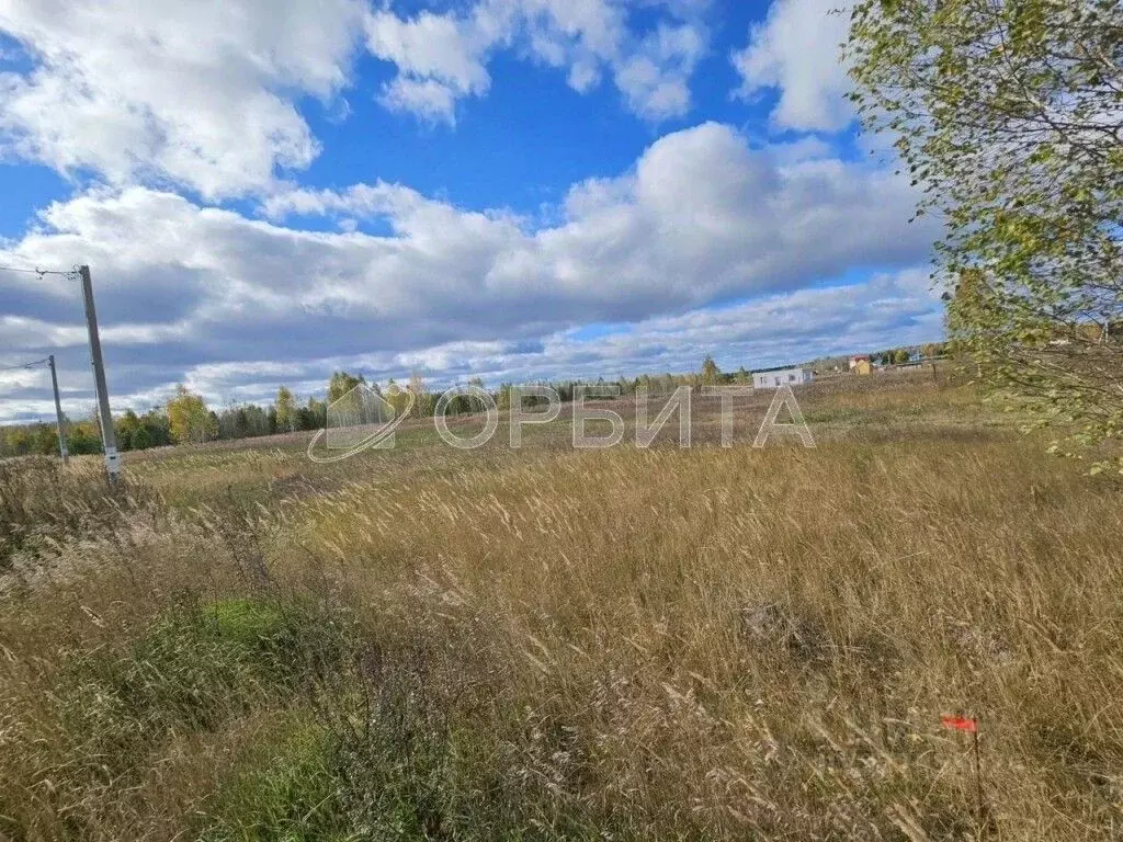 Участок в Тюменская область, Нижнетавдинский муниципальный округ, ... - Фото 2