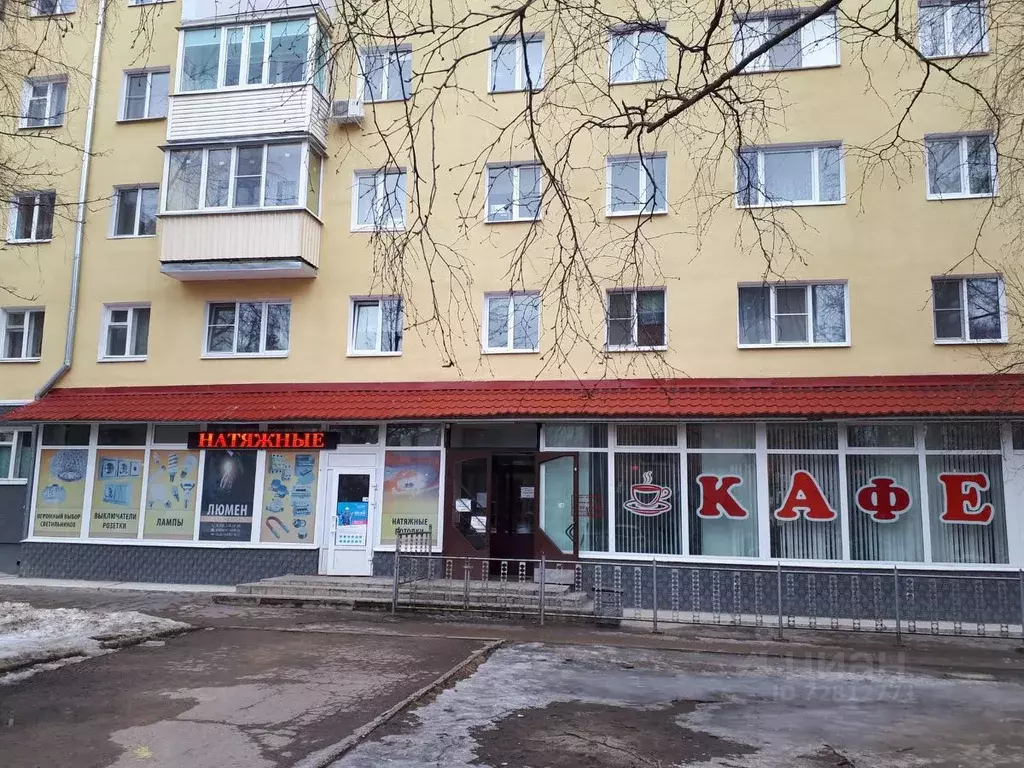 рижский проспект 14 псков. зоомагазин дружок. рижский проспект 46 псков. рижский 46. рижский 46.