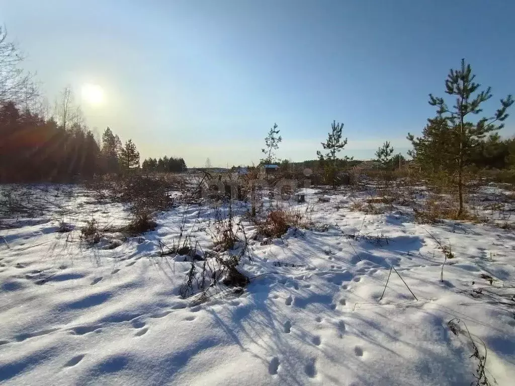 Участок в Владимирская область, Ковровский муниципальный округ, ... - Фото 2
