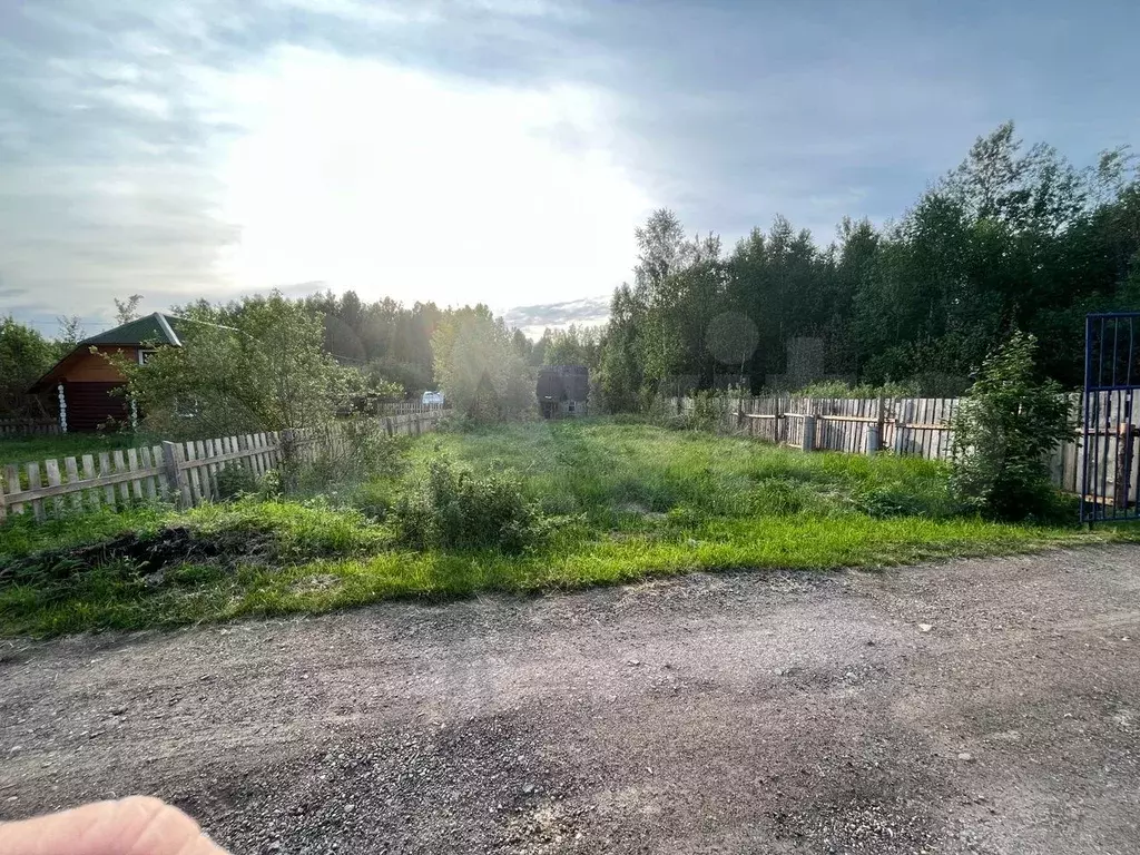 Участок 4 сот. (СНТ, ДНП) - Фото 1