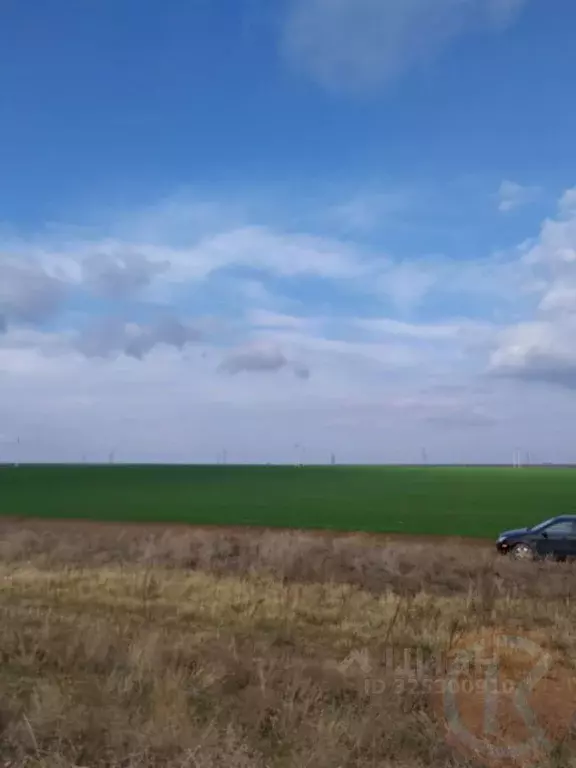 Участок в Крым, Феодосия муниципальный округ, с. Береговое  (500.0 ... - Фото 1