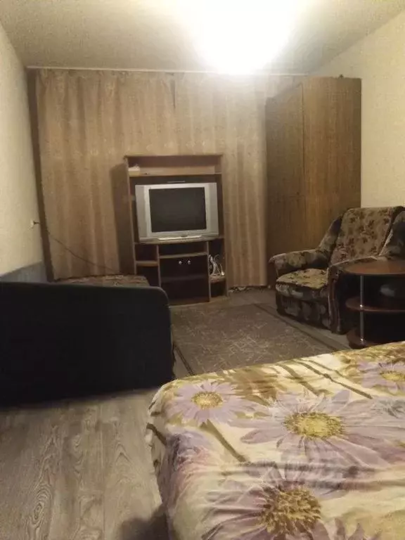 1-к кв. Псковская область, Псков ул. Киселева, 23 (33.0 м) - Фото 2