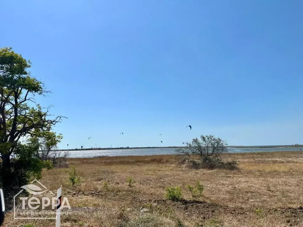 Участок в Крым, Черноморский район, с. Межводное ул. Сергея Королева ... - Фото 2