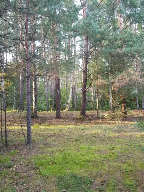 Участок в Московская область, Одинцовский городской округ, с. Луцино, ... - Фото 2