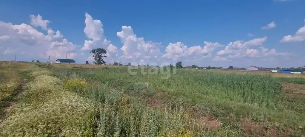 участок в воронежская область, борисоглебский городской округ, с. . - Фото 0