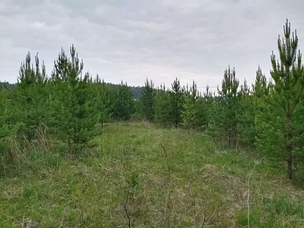 Участок в Свердловская область, Екатеринбург Зеленые Просторы ДНТ,  ... - Фото 1