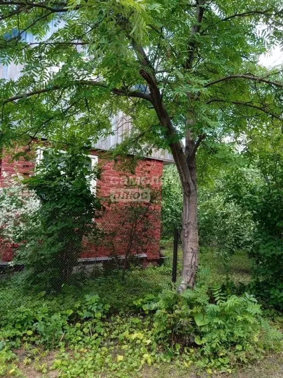 Дом в Омская область, Омск СНТ Весна ТСН, 143 (28 м) - Фото 1