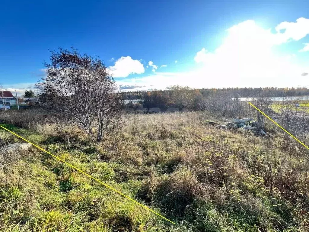 Участок в Вологодская область, Кирилловский муниципальный округ, д. ... - Фото 1