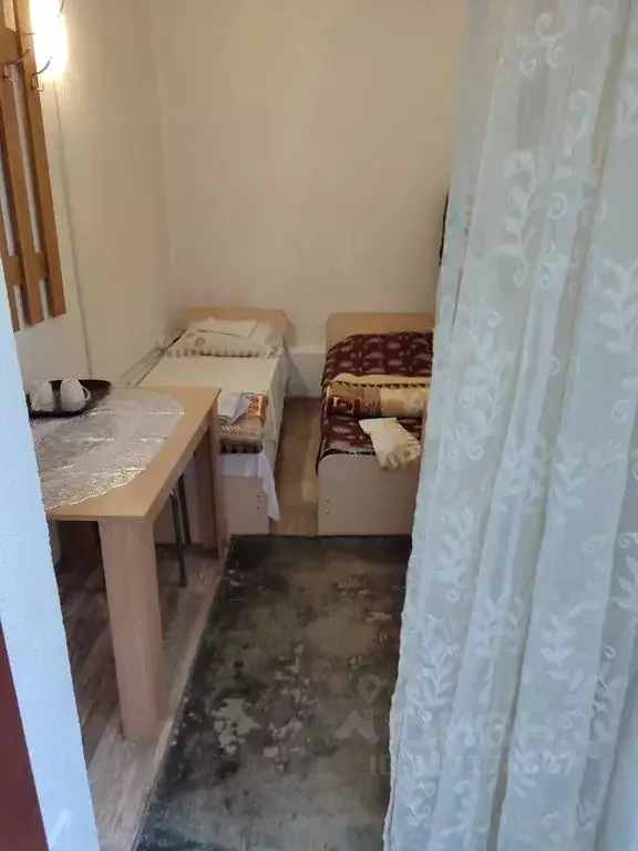 Комната Краснодарский край, Сириус пгт ул. Тюльпанов, 1 - Фото 1