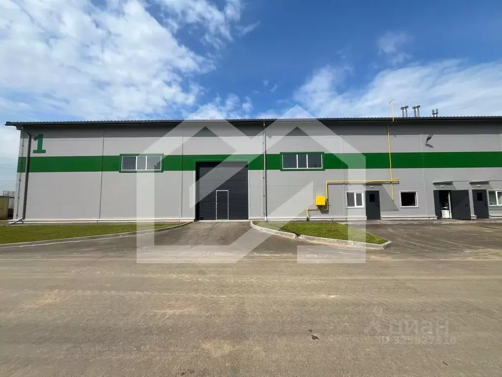 Производственное помещение в Московская область, Раменский ... - Фото 1