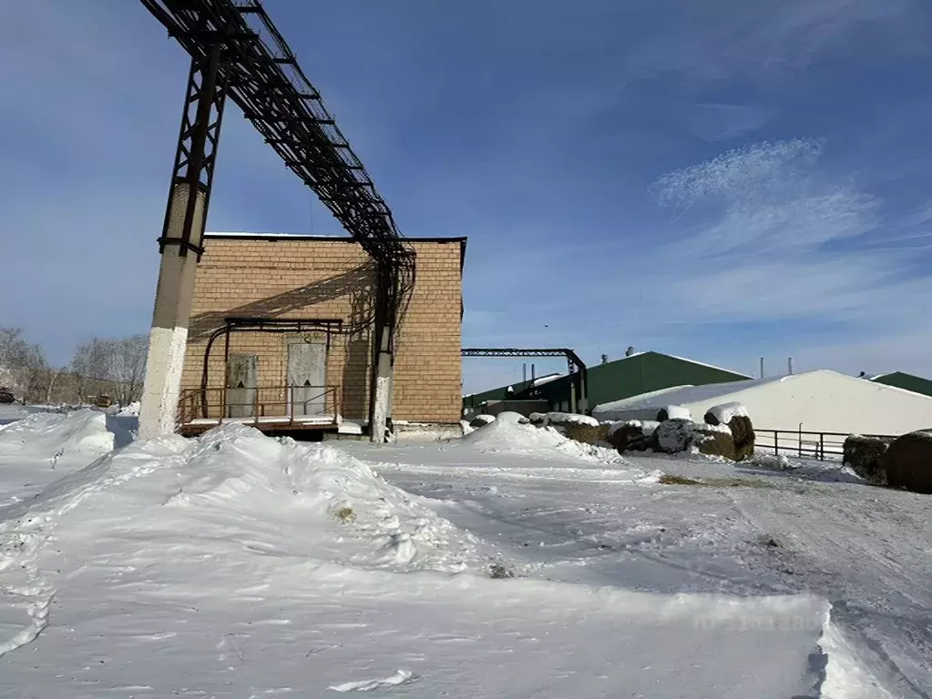 Производственное помещение в Челябинская область, Магнитогорск ул. ... - Фото 0