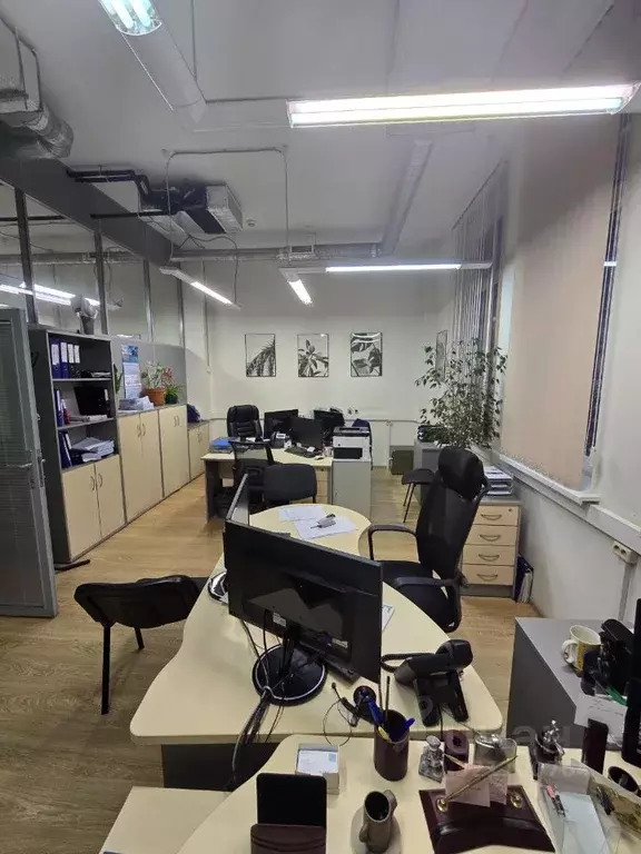 Помещение свободного назначения в Санкт-Петербург просп. Средний ... - Фото 2