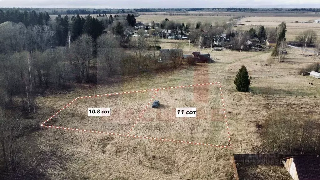 Участок в Ленинградская область, Волосовский район, Клопицкое с/пос, ... - Фото 2