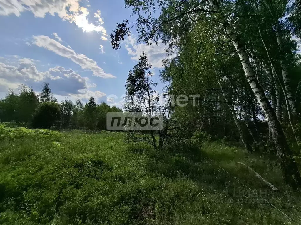 Участок в Москва д. Свитино, 42 (30.0 сот.) - Фото 1