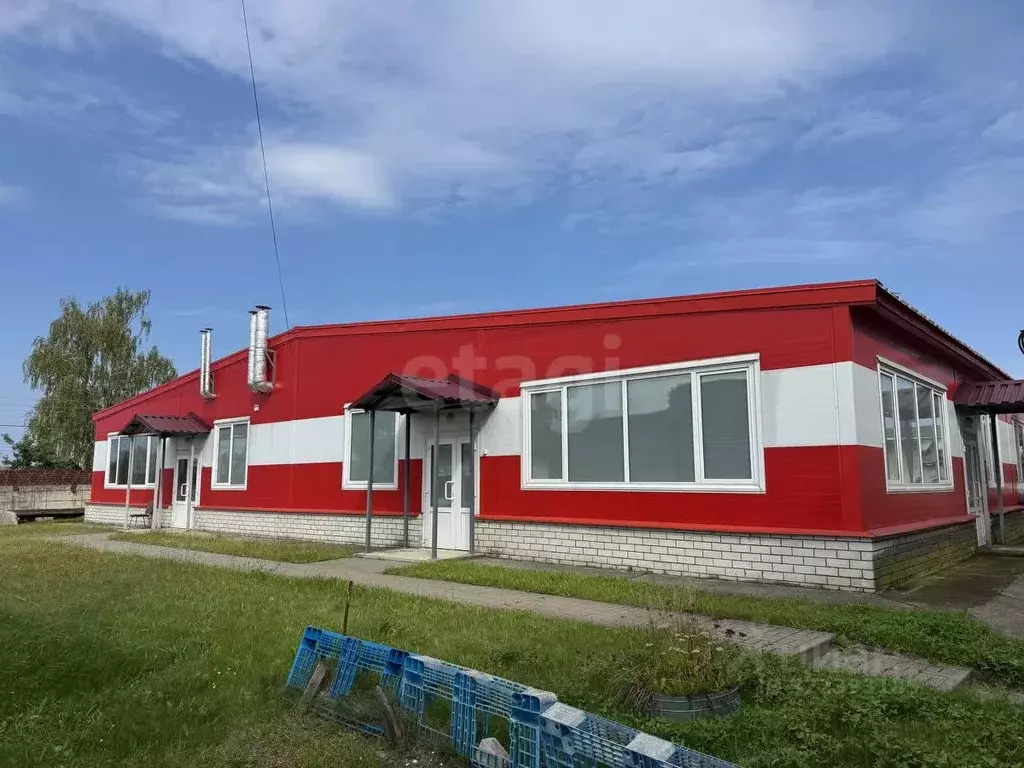 Склад в Брянская область, Брянск ул. Абашева, 19 (12000 м) - Фото 1