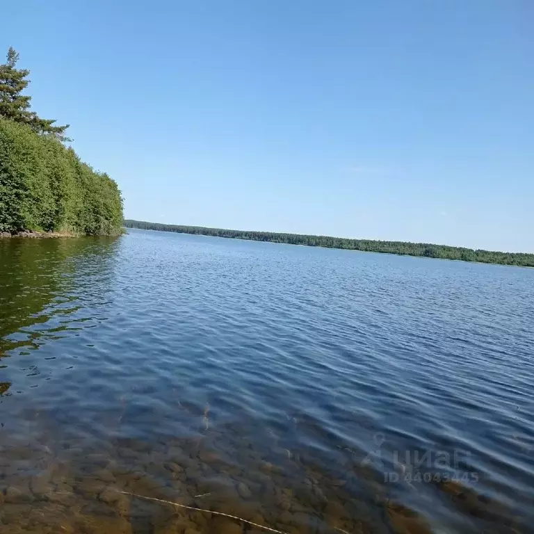 Дом в Карелия, Медвежьегорский район, Шуньгское с/пос, пос. ММС 13 (68 ... - Фото 0