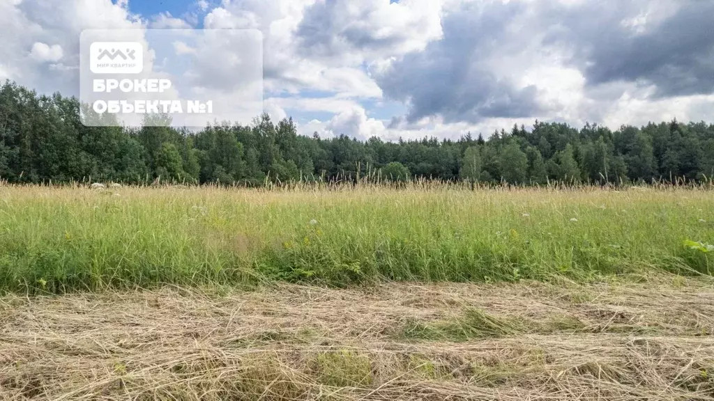 Участок в Ленинградская область, Всеволожский район, Заневское ... - Фото 0