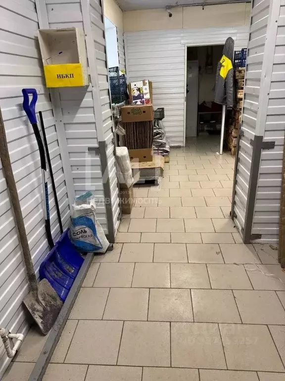 Торговая площадь в Челябинская область, Кыштым ул. Свободы, 3Б (369 м) - Фото 2