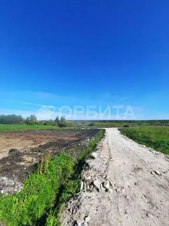 Участок в Тюменская область, Тюменский район, д. Насекина  (8.34 сот.) - Фото 1