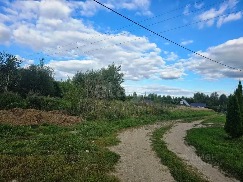 Участок в Калужская область, Бабынинский район, Утешево с/пос, с. ... - Фото 1