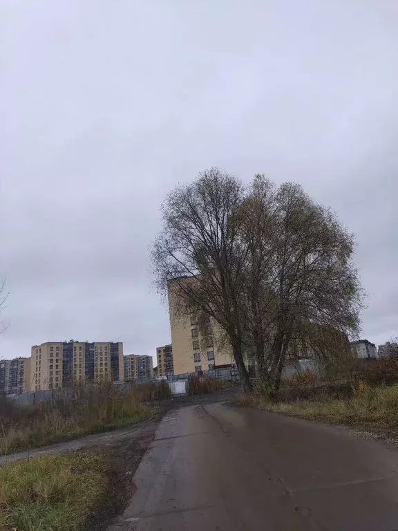 Участок в Новгородская область, Великий Новгород Ветеран-Мостищи СТ, 2 ... - Фото 1