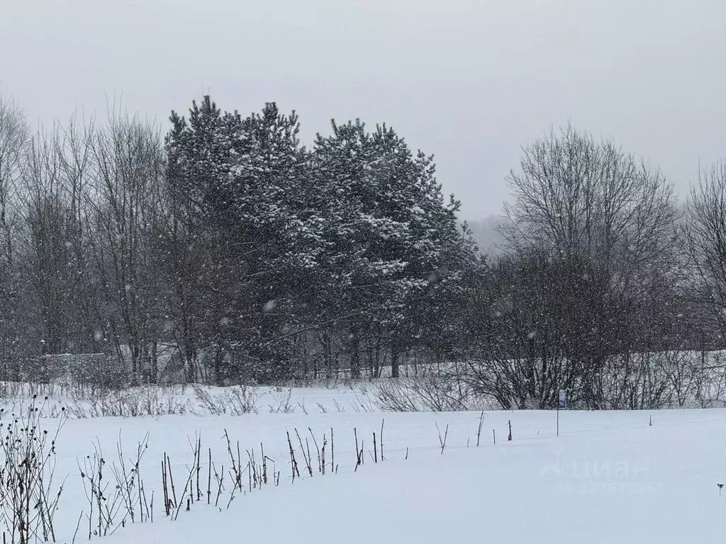 Участок в Московская область, Можайский муниципальный округ, д. ... - Фото 1
