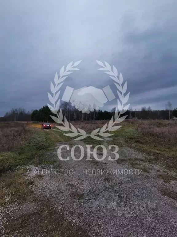 Участок в Тульская область, Алексин городской округ, с. Сотино  (15.0 ... - Фото 2