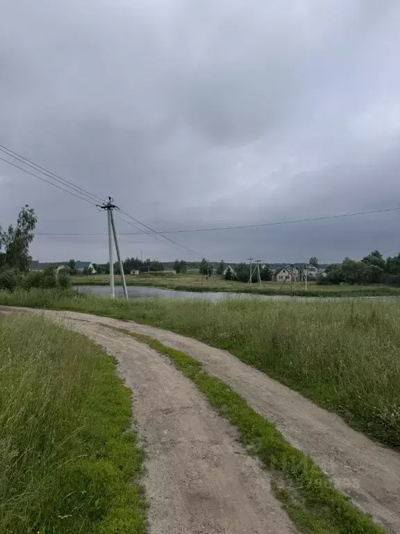 Участок в Московская область, Коломна городской округ, д. Малое ... - Фото 1