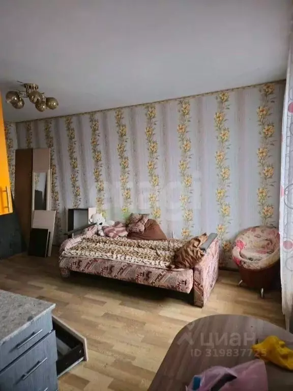 Студия Ростовская область, Красный Сулин ул. Суворова, 19 (25.0 м) - Фото 0