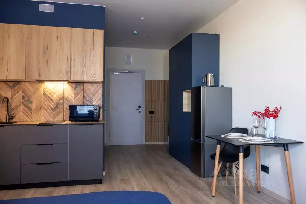 1-к кв. Санкт-Петербург просп. Энергетиков, 8к2 (28.0 м) - Фото 2