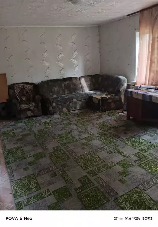 Дом в Новосибирская область, Черепановский район, с. Дорогина Заимка ... - Фото 1